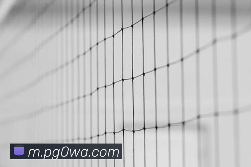 nba投注网站平台生态图